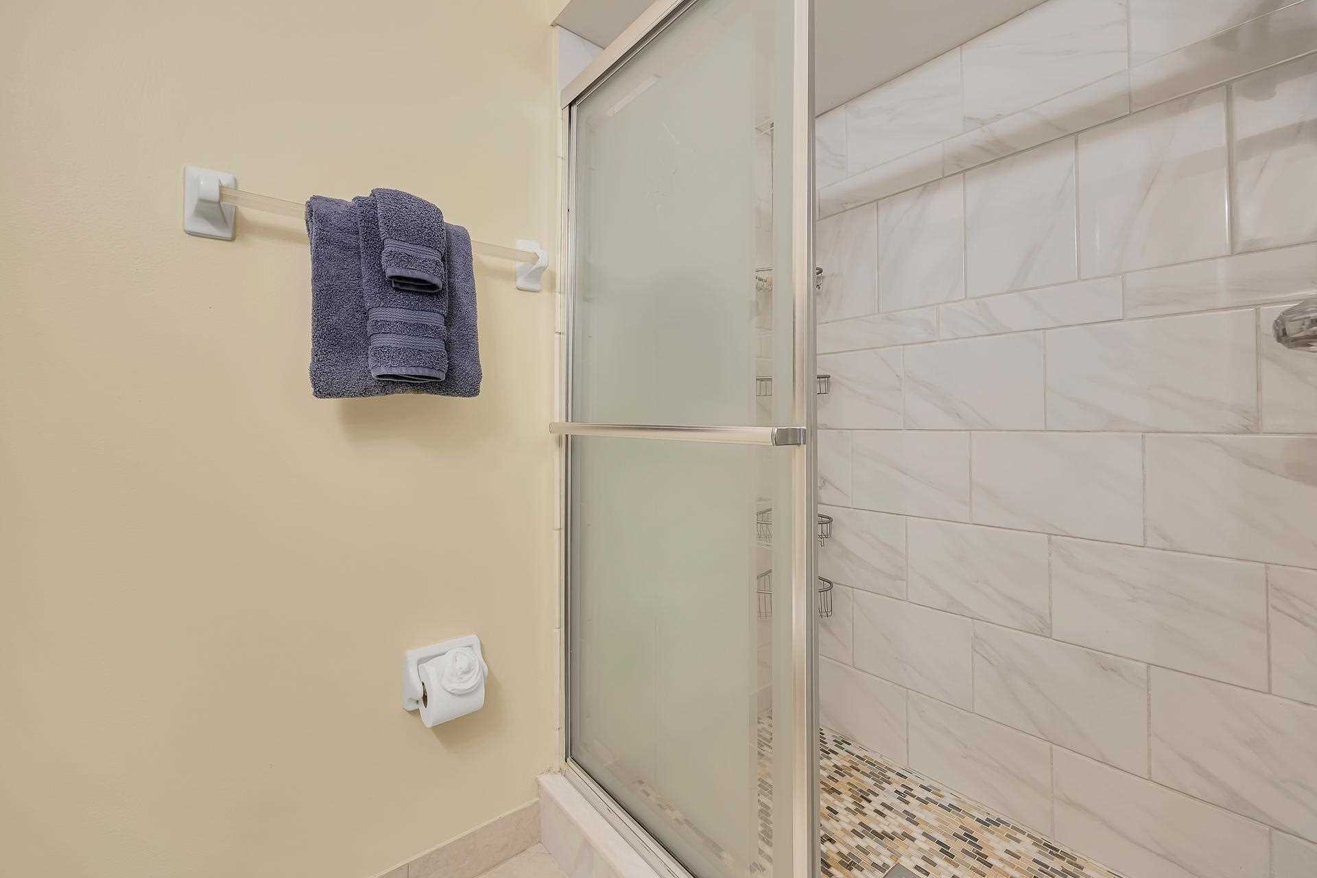 Master Walk in Shower