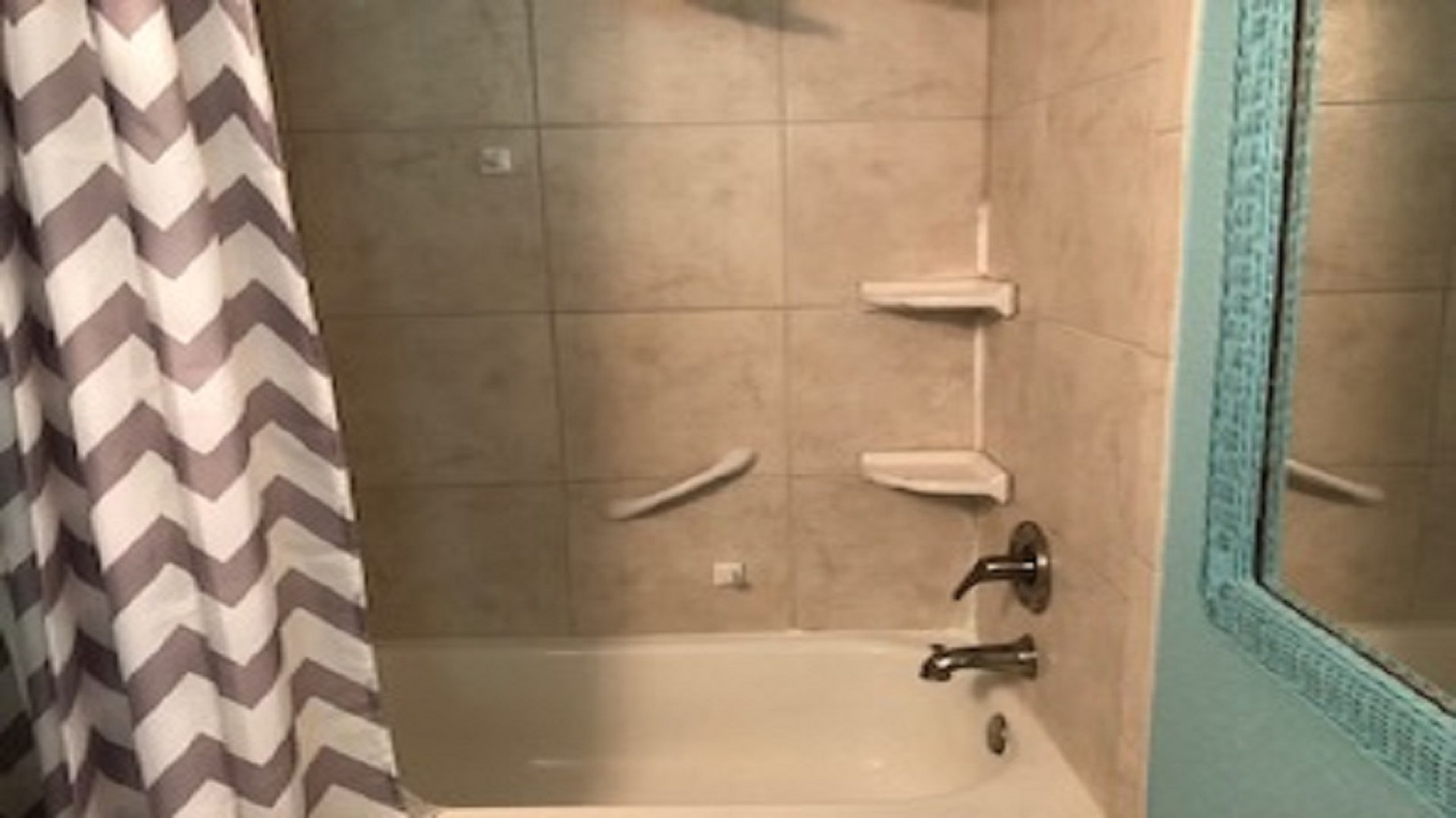 Master Tub Shower