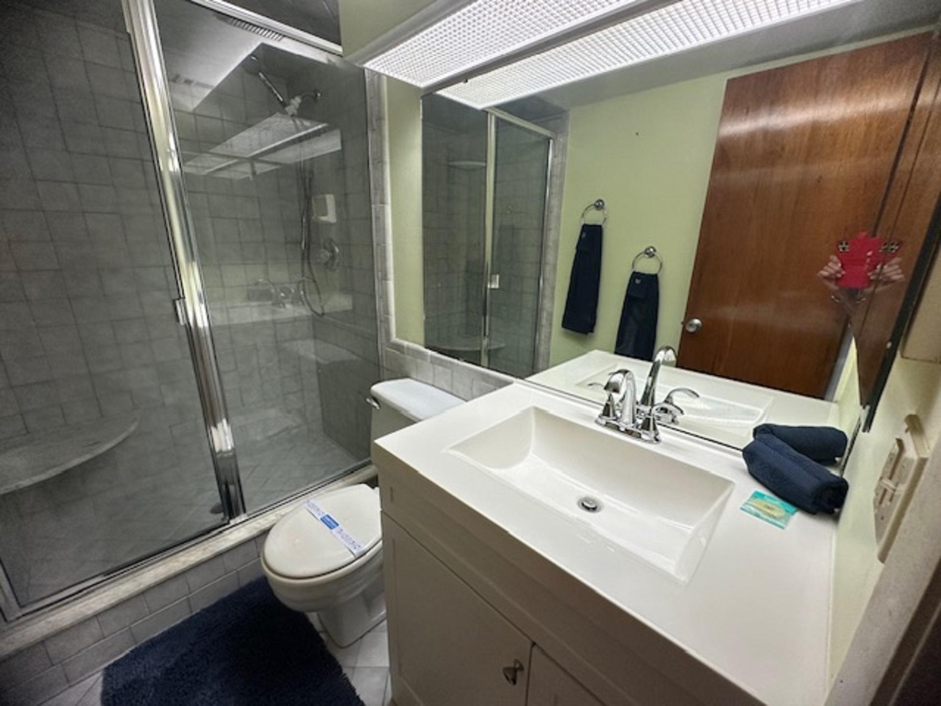 Downstairs Walk in Shower